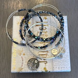 Alex and  Ani•Harry Potter Collection•Hogwarts Castle 5 piece Bracelet Set